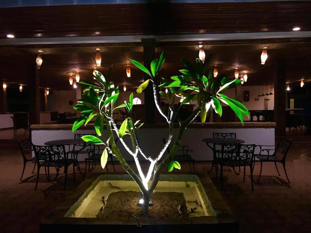 המבנטוטה Peacock Beach Hotel מראה חיצוני תמונה