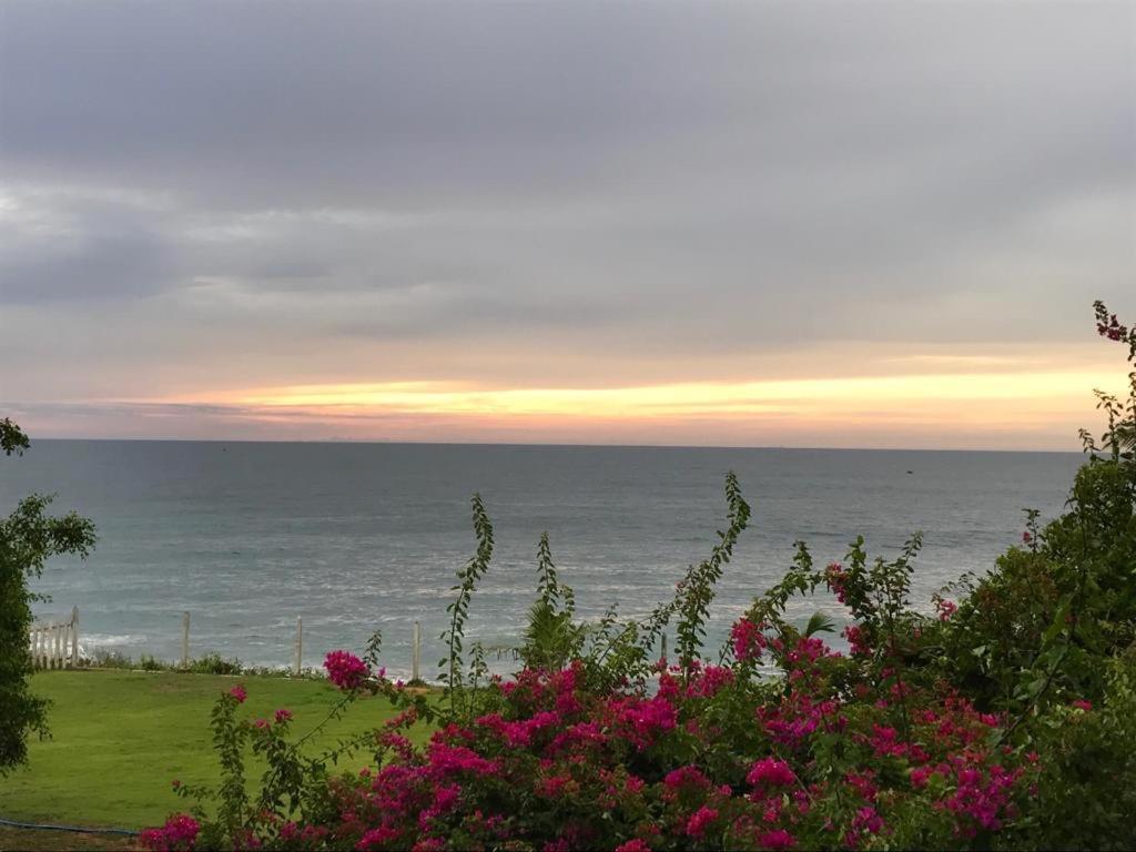 המבנטוטה Peacock Beach Hotel מראה חיצוני תמונה